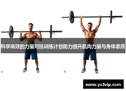 科学高效的力量对抗训练计划助力提升肌肉力量与身体素质