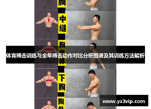 体育搏击训练与全年搏击动作对比分析图谱及其训练方法解析