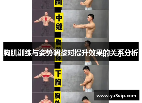 胸肌训练与姿势调整对提升效果的关系分析