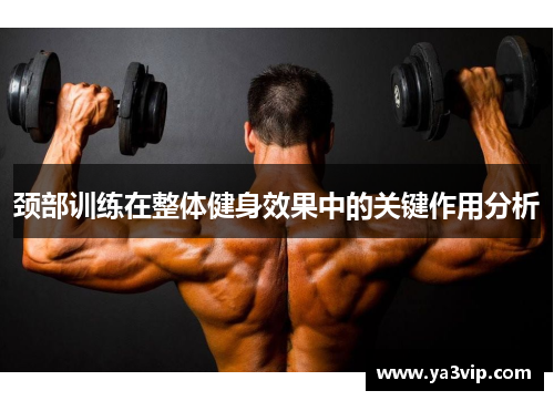 颈部训练在整体健身效果中的关键作用分析